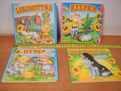 Książeczka sztywne strony mix | 00004 Książeczka sztywne strony mix | 00004