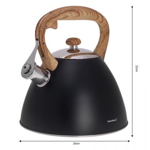 CZAJNIK STALOWY LAKIEROWANY MAT 3.0L KLAUSBERG KB-7262 CZAJNIK STALOWY LAKIEROWANY MAT 3.0L KLAUSBERG KB-7262