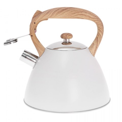 CZAJNIK STALOWY LAKIEROWANY MAT 3.0L KLAUSBERG KB-7264 CZAJNIK STALOWY LAKIEROWANY MAT 3.0L KLAUSBERG KB-7264