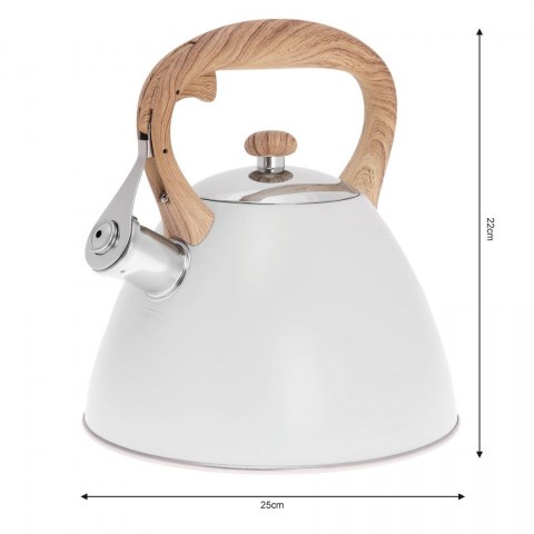 CZAJNIK STALOWY LAKIEROWANY MAT 3.0L KLAUSBERG KB-7264 CZAJNIK STALOWY LAKIEROWANY MAT 3.0L KLAUSBERG KB-7264
