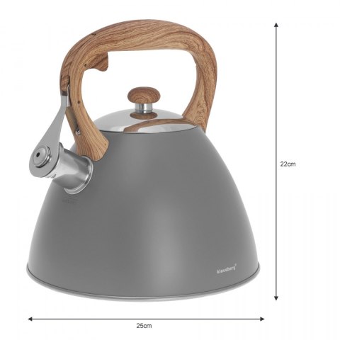 CZAJNIK STALOWY LAKIEROWANY MAT 3.0L KLAUSBERG KB-7297 CZAJNIK STALOWY LAKIEROWANY MAT 3.0L KLAUSBERG KB-7297