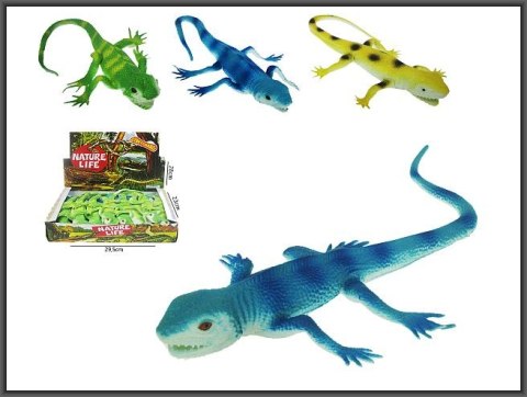 Jaszczurki 34cm z grochem 6szt HAB011 Jaszczurki 34cm z grochem 6szt HAB011