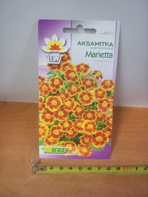 Nasiona AKSAMITKA MARIETTA TF1715 Nasiona AKSAMITKA MARIETTA TF1715