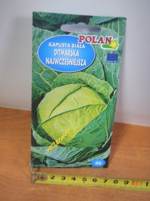 Nasiona KAPUSTA DITMARSKA 2g PN4430 Nasiona KAPUSTA DITMARSKA 2g PN4430