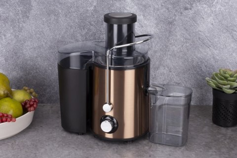 SOKOWIRÓWKA 500W BERLINGER HAUS ROSE GOLD BH-9459 SOKOWIRÓWKA 500W BERLINGER HAUS ROSE GOLD BH-9459