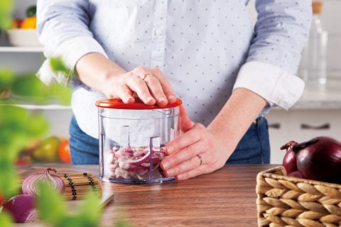 SZATKOWNICA / ROZDRABNIACZ DO WARZYW 300W 600ml BERLINGER HAUS BURGUNDY BH-9380 SZATKOWNICA / ROZDRABNIACZ DO WARZYW 300W 600ml BERLINGER HAUS BURGUNDY BH-9380