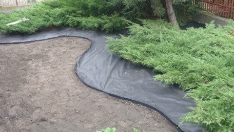 Agrowłóknina Brązowa P-50 UV 0,5m x 200mb GF Agro Agrowłóknina Brązowa P-50 UV 0,5m x 200mb GF Agro