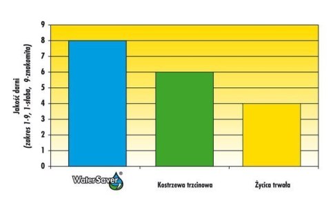 Trawa Odporna Na Suszę Barenbrug Dry & Strong Watersaver Otoczkowana 1kg Trawa Odporna Na Suszę Barenbrug Dry & Strong Watersaver Otoczkowana 1kg