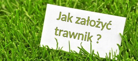 Trawa Odporna na Suszę Trawnik Polski Desert 15kg Trawa Odporna na Suszę Trawnik Polski Desert 15kg