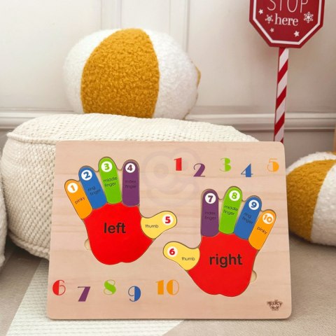 TOOKY TOY Edukacyjna Drewniana Układanka Rączki Nauka Liczenia i Kolorów TOOKY TOY Edukacyjna Drewniana Układanka Rączki Nauka Liczenia i Kolorów