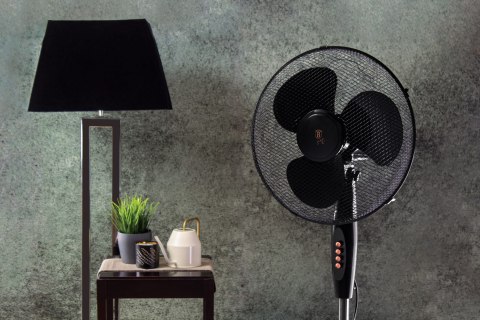 WENTYLATOR WIATRAK 125cm BERLINGER HAUS BLACK ROSE BH-9130 WENTYLATOR WIATRAK 125cm BERLINGER HAUS BLACK ROSE BH-9130