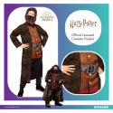 Strój, Kostium przebranie Hagrid Harry Potter, rozmiar XL Amscan / Anagram