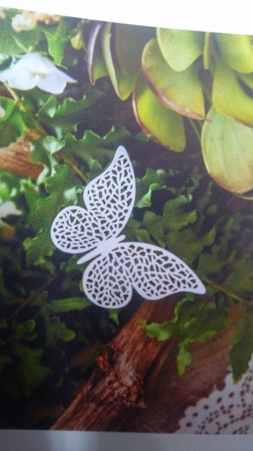 Dekoracje papierowe Motyl 8x5cm 10szt. | ZPM1D Dekoracje papierowe Motyl 8x5cm 10szt. | ZPM1D