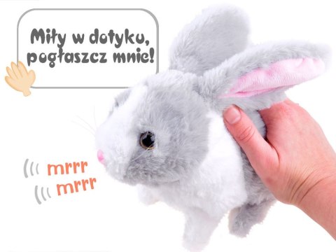 Interaktywny zwierzaczek chrupaczek kicający Królik + marchewka ZA2685 SZ Interaktywny zwierzaczek chrupaczek kicający Królik + marchewka ZA2685 SZ