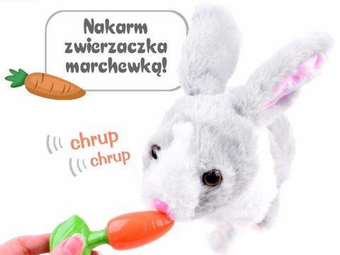 Interaktywny zwierzaczek chrupaczek kicający Królik + marchewka ZA2685 SZ Interaktywny zwierzaczek chrupaczek kicający Królik + marchewka ZA2685 SZ