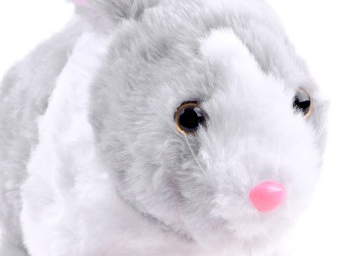 Interaktywny zwierzaczek chrupaczek kicający Królik + marchewka ZA2685 SZ Interaktywny zwierzaczek chrupaczek kicający Królik + marchewka ZA2685 SZ