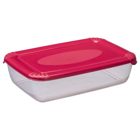 Pojemnik 6szt. polar HAWAII 3l prostokąt | 1673 Pojemnik 6szt. polar HAWAII 3l prostokąt | 1673