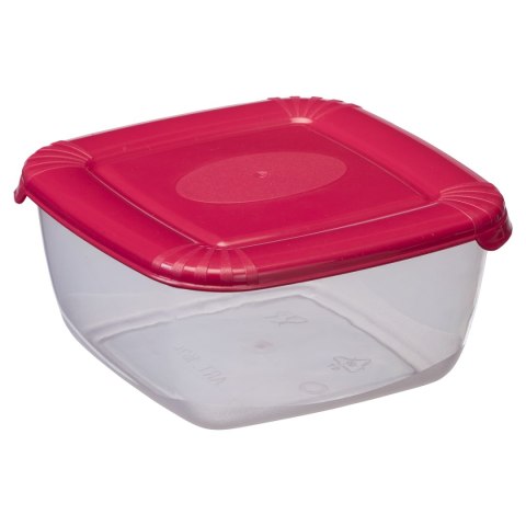 Pojemnik 6szt. polar kwadrat 0,95l | 1675 Pojemnik 6szt. polar kwadrat 0,95l | 1675