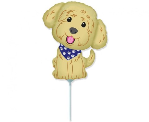 Balon foliowy Piesek, Pies Cobberdog, na patyk 14", 35cm Flexmetal Balon foliowy Piesek, Pies Cobberdog, na patyk 14", 35cm Flexmetal