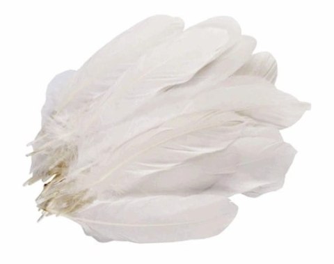 Pióra naturalne gęsi 15 gram Pióra naturalne gęsi 15 gram