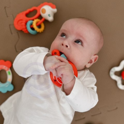 WOOPIE BABY Zestaw Gryzaków Grzechotek Sensorycznych WOOPIE BABY Zestaw Gryzaków Grzechotek Sensorycznych