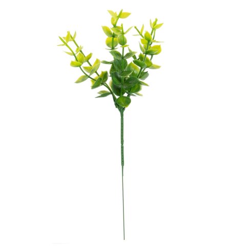 Gałązka 12szt bukszpanu 20cm Gałązka 12szt bukszpanu 20cm