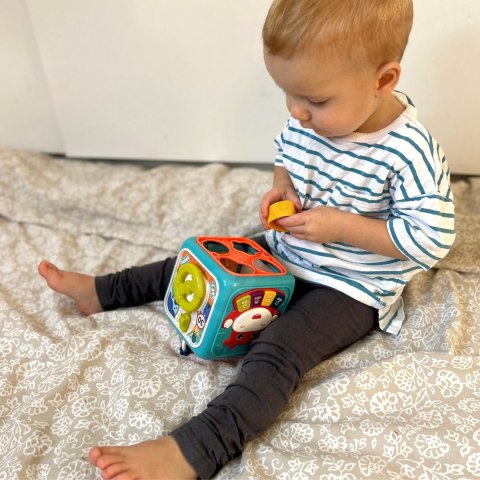 WOOPIE BABY Interaktywna Kostka Sensoryczna Edukacyjna Montessori Sorter 6w1 WOOPIE BABY Interaktywna Kostka Sensoryczna Edukacyjna Montessori Sorter 6w1