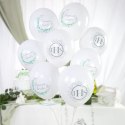 Balony komunijne biodegradowalne Eukaliptus srebrny 12cali 6szt. zestaw 131886