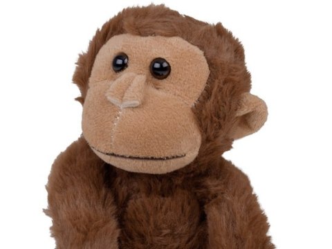 Maskotka małpka wisząca brązowa z rzepami 45cm ZA5656 Maskotka małpka wisząca brązowa z rzepami 45cm ZA5656