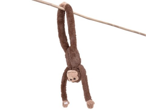 Maskotka małpka wisząca brązowa z rzepami 45cm ZA5656 Maskotka małpka wisząca brązowa z rzepami 45cm ZA5656