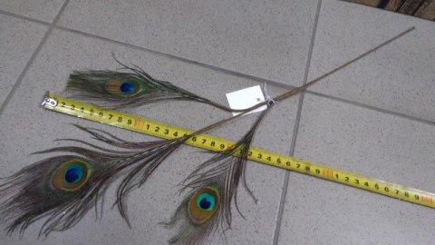 Ozdobne pióro PAWIE 50cm CV10066 Ozdobne pióro PAWIE 50cm CV10066