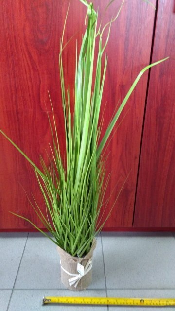 Trawa w doniczce jutowej 90cm INF171 Trawa w doniczce jutowej 90cm INF171