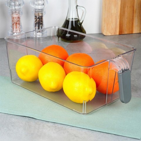ORGANIZER DO LODÓWKI POJEMNIK Z UCHWYTEM 31X18X11.5CM EXCELLENT ELECTRICS 229185 ORGANIZER DO LODÓWKI POJEMNIK Z UCHWYTEM 31X18X11.5CM EXCELLENT ELECTRICS 229185