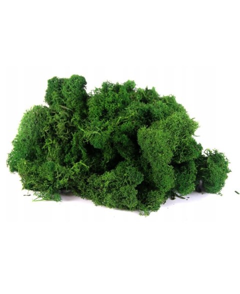 Mech ozdobny CHROBOTEK 500g Mech ozdobny CHROBOTEK 500g