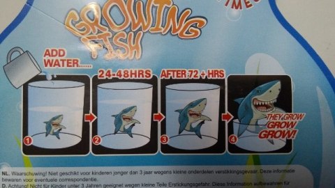 Rybki rosnące 3szt na blistzre 5cm 620654 Rybki rosnące 3szt na blistzre 5cm 620654