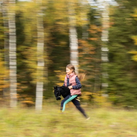 Skippi hobby horse z kantarem czarny koń A3 duży Skippi hobby horse z kantarem czarny koń A3 duży