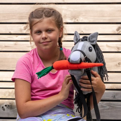 Smaczki dla Hobby Horse - marchewka kapusta jabłko rzodkiewka cukier Smaczki dla Hobby Horse - marchewka kapusta jabłko rzodkiewka cukier