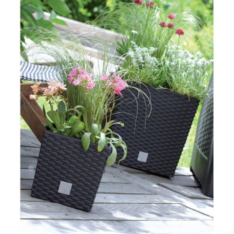 Donica RATO LOW 40x40x41cm Antracyt rattan+wkład Donica RATO LOW 40x40x41cm Antracyt rattan+wkład
