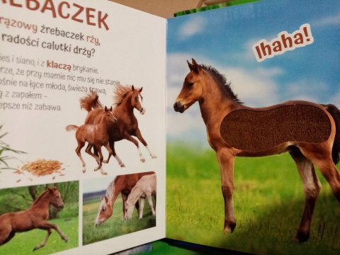 Książeczka sensoryczna Pogłaszcz zwierzątko Przytulki Książeczka sensoryczna Pogłaszcz zwierzątko Przytulki