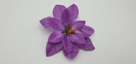 Gwiazda betlejemska poinsencja wyrobowa 12szt FIOLETOWA 14cm AGT063 Gwiazda betlejemska poinsencja wyrobowa 12szt FIOLETOWA 14cm AGT063