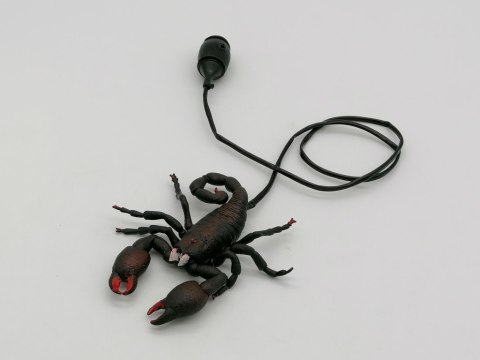 Skorpion skaczący 15x20x3cm Skorpion skaczący 15x20x3cm