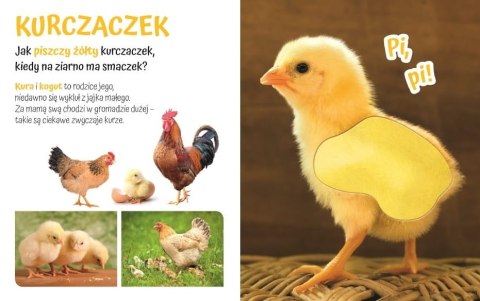 Książeczka Pogłaszcz zwierzątko 15,8x12,8 cm Książeczka Pogłaszcz zwierzątko 15,8x12,8 cm