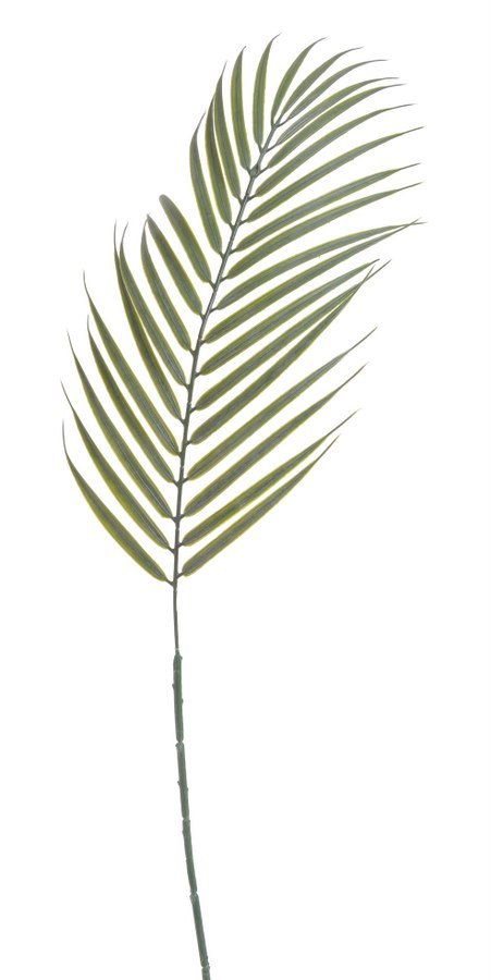 Liść palmy 12szt. 70cm | B-07280 Liść palmy 12szt. 70cm | B-07280
