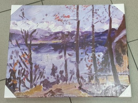 Obraz na płótnie blejtram 40 x 50 cm Obraz na płótnie blejtram 40 x 50 cm