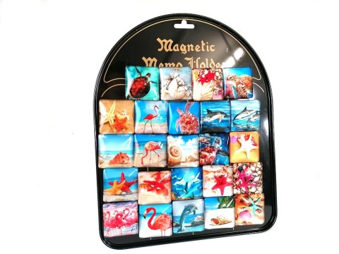 Magnes 24szt. MORSKI Magnes 24szt. MORSKI