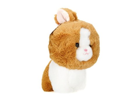 Maskotka TEDDY PETS, KRÓLICZEK, BRĄZOWY 21 x 17cm Maskotka TEDDY PETS, KRÓLICZEK, BRĄZOWY 21 x 17cm