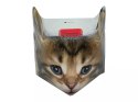Kubek - Sweety Kitty, pudełko z ogonkiem (CARMANI)