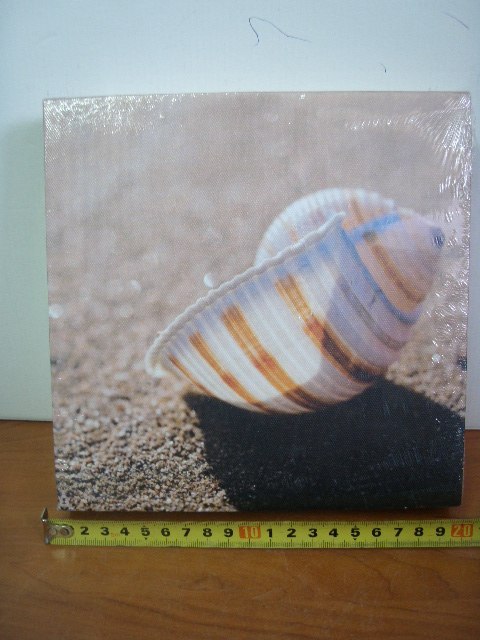 Obraz płótno 20x20cm Obraz płótno 20x20cm