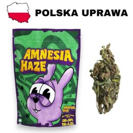 Susz CBD Amnesia Haze - CBD