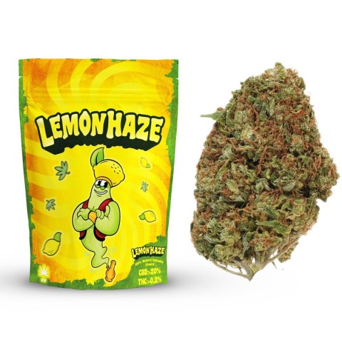 Susz CBD Lemon Haze - CBD Susz CBD Lemon Haze - CBD